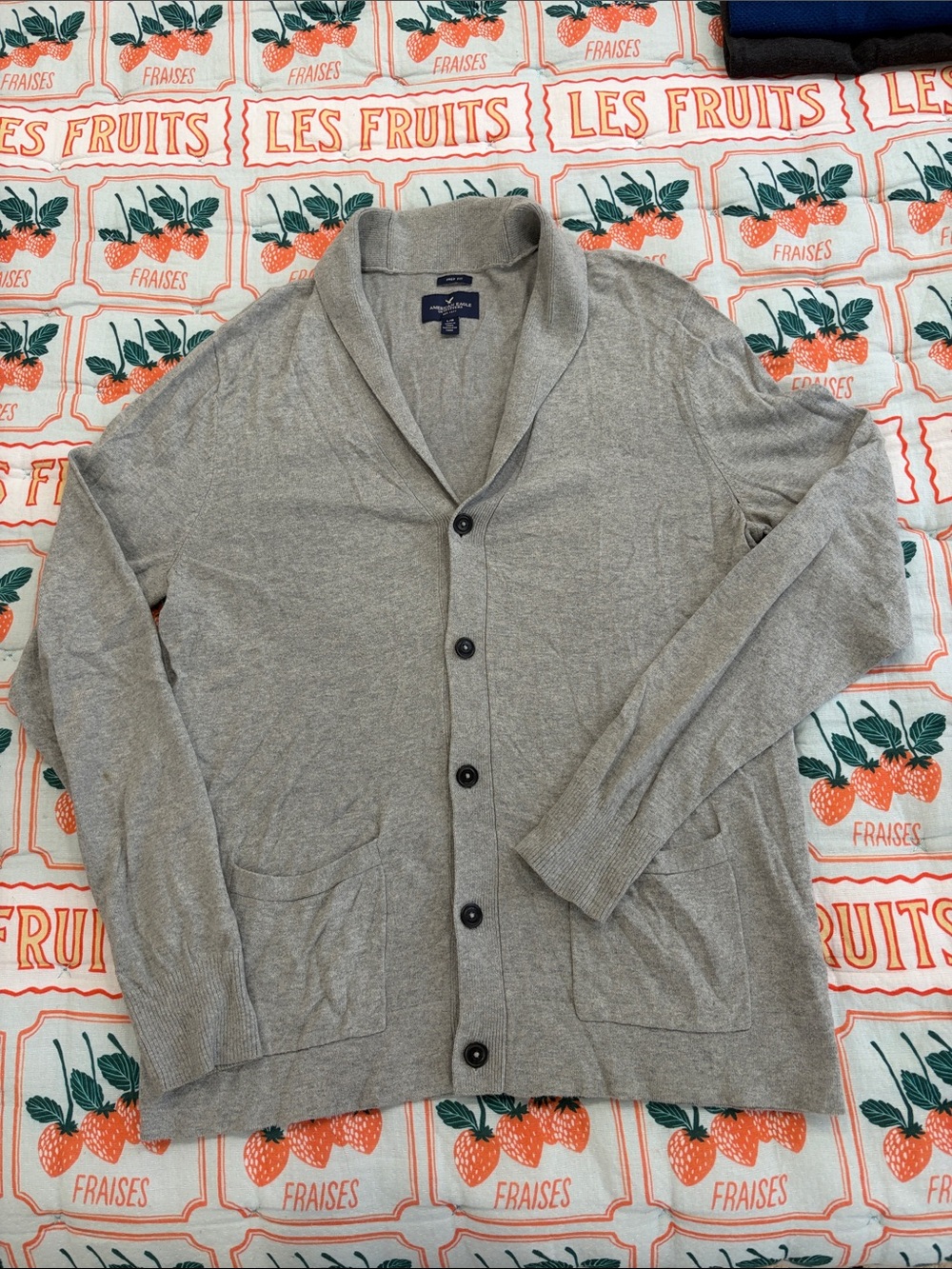 American Eagle Outfitters Light Gray Knit Cardigan